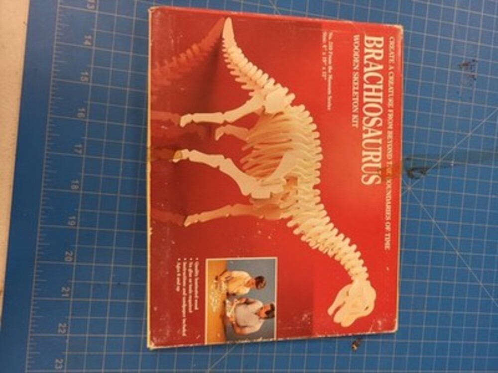Safari LTD Brachiosaurus Wooden Skeleton Kit No 310 Museum Series Dinosaur Toy